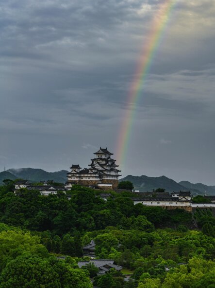 Himeji Castle and Akashi Kaikyo Bridge Walking Tour from Osaka