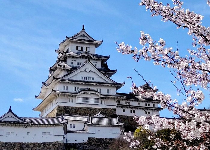 Private Full Day Himeji Tour Shore Excursion from Osaka Kobe Port
