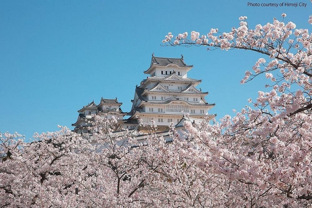 Himeji Castle Guided Tour Premium Kobe Beef Lunch from Kyoto